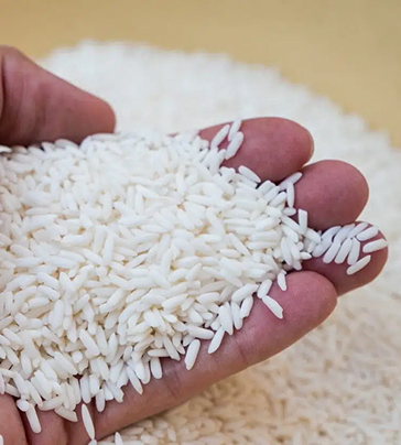 Short Grain Rice (high starch, sticky texture)