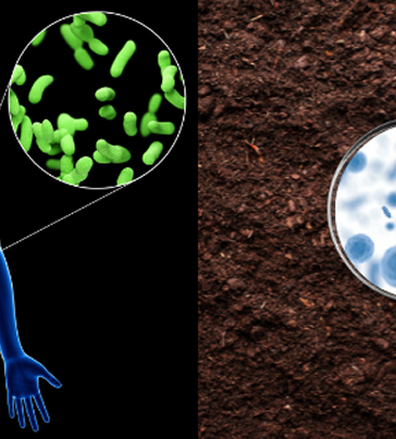 Full of beneficial microorganisms