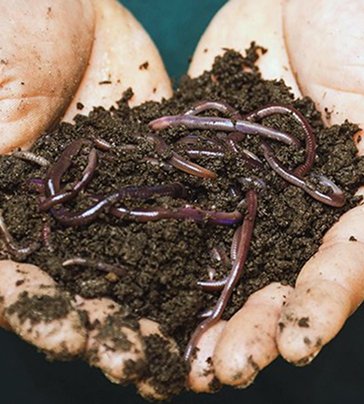 Competitively priced and globally available