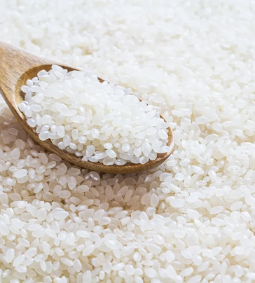 Medium Grain Rice (soft and slightly sticky)